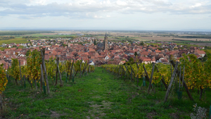 Débouchage canalisation Lingolsheim